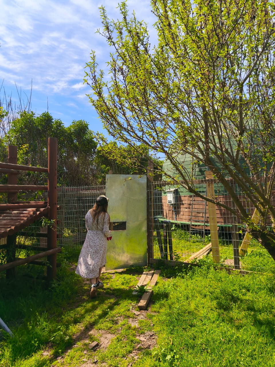 Domo Los Quillayes - Imagen 13